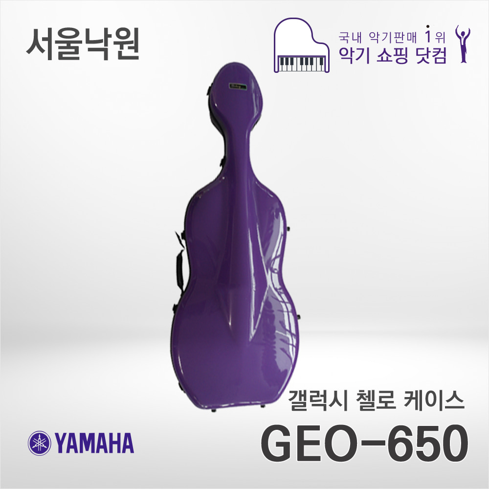 신성 갤럭시 카본 첼로케이스GEO-650/서울낙원