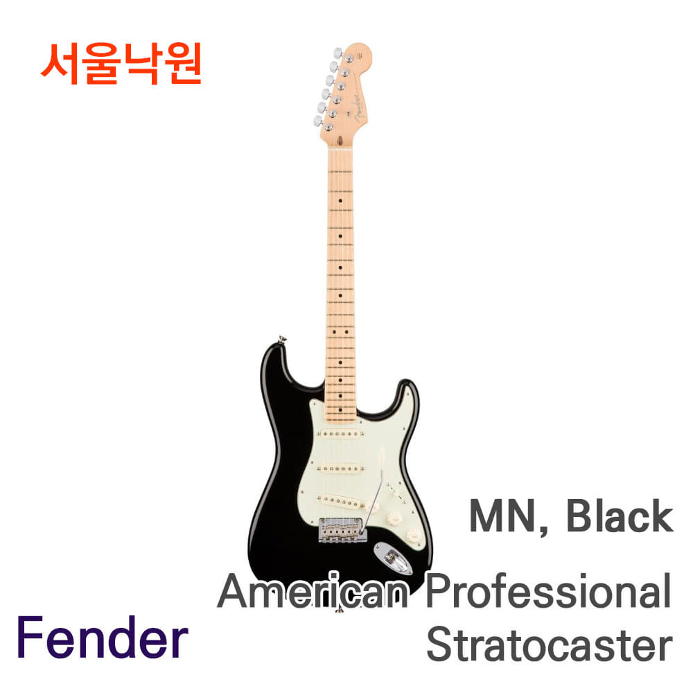 FENDER 아메리칸 프로페셔널/스트라토캐스터/서울낙원